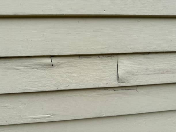 Professional Siding Installation in Montalvin Manor, CA